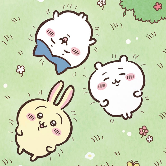 Chiikawa and Friends