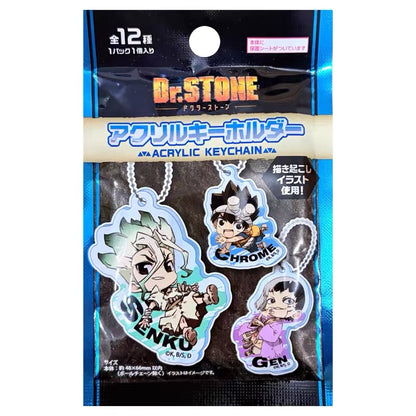 Dr.Stone Acrylic Standee/Keychain Blind Bag